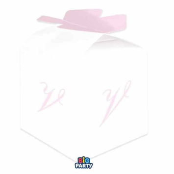 Scatoline Rosa Lettera V
